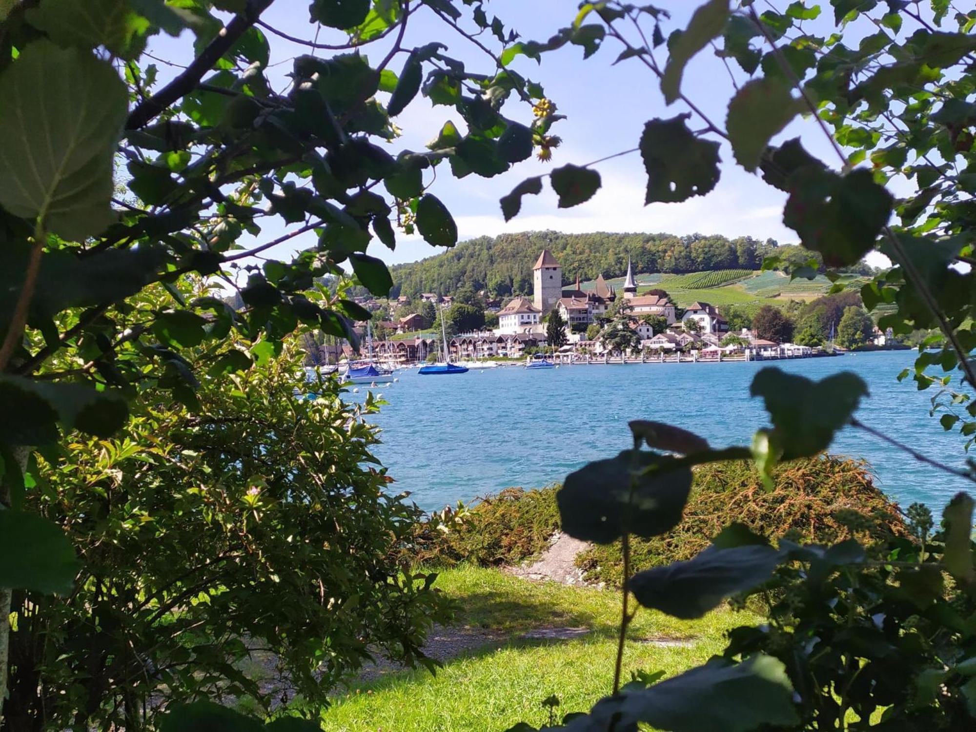 Apartment Bühlmann Spiez Dış mekan fotoğraf